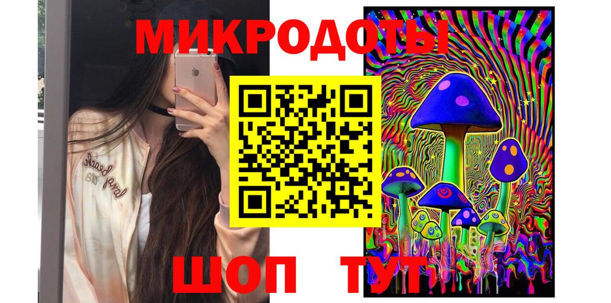 Арсеньев  Псилоцибиновые грибы Psilocybe  Вход с VPN 