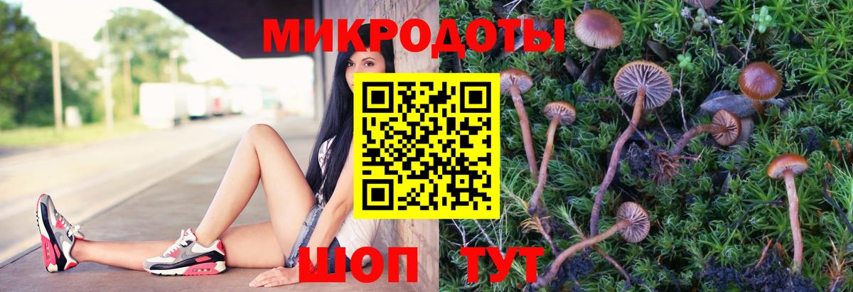 Галлюциногенные грибы Magic Shrooms Арсеньев