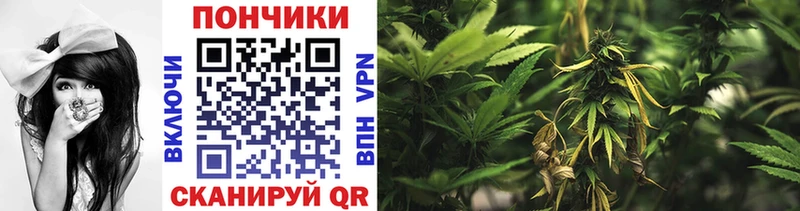 Каннабис Bruce Banner ссылка на мегу рабочий сайт Арсеньев